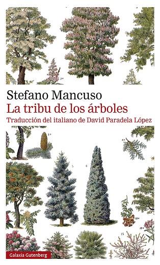 LA TRIBU DE LOS ÁRBOLES | 9788419392510 | MANCUSO, STEFANO | Llibreria Online de Tremp