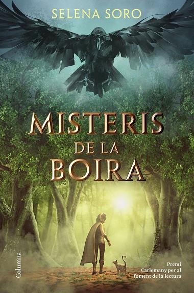 MISTERIS DE LA BOIRA | 9788466426619 | SORO, SELENA | Llibreria Online de Tremp