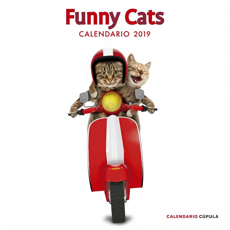 CALENDARIO FUNNY CATS 2019 | 9788448024628 | AA. VV. | Llibreria Online de Tremp