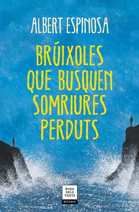 BRÚIXOLES QUE BUSQUEN SOMRIURES PERDUTS | 9788417627409 | ESPINOSA, ALBERT