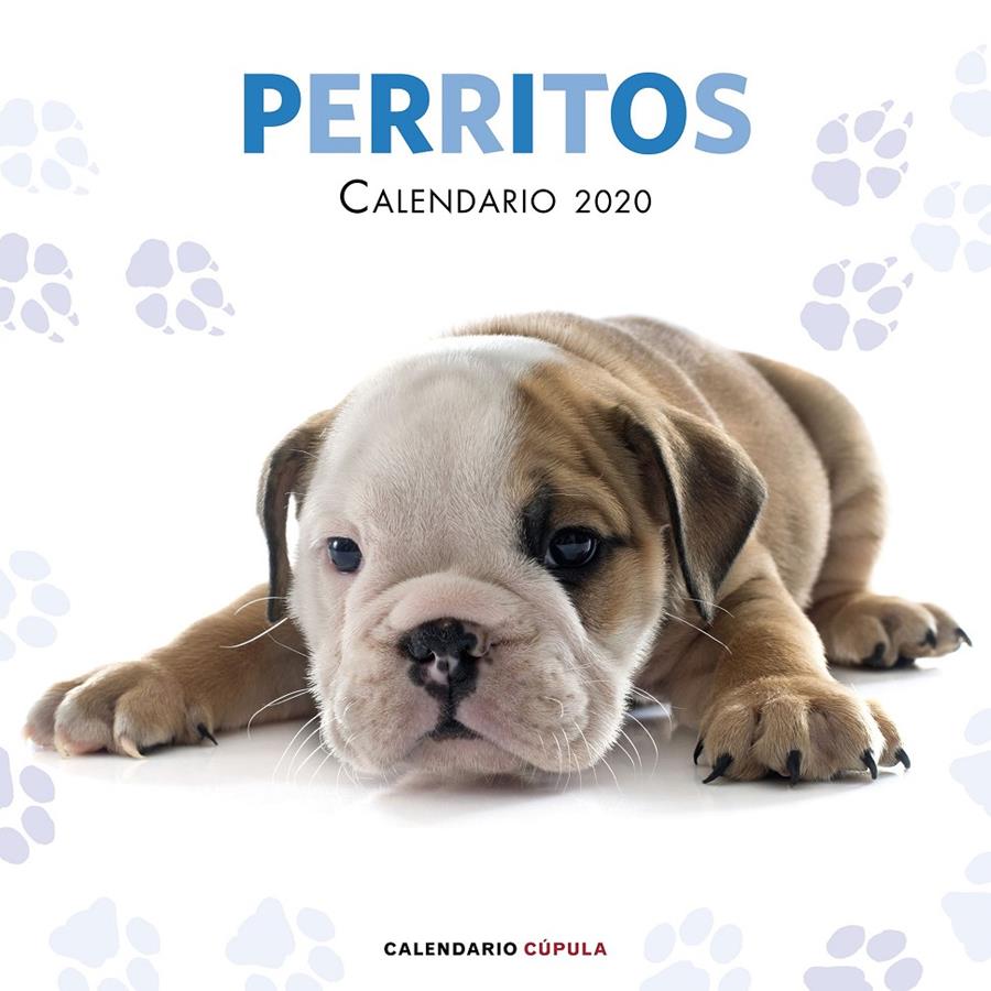 CALENDARIO PERRITOS 2020 | 9788448026158 | AA. VV. | Llibreria Online de Tremp