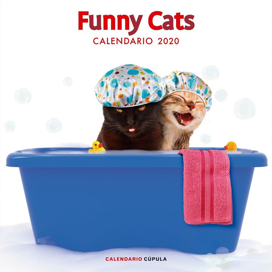 CALENDARIO FUNNY CATS 2020 | 9788448026141 | AA. VV. | Llibreria Online de Tremp
