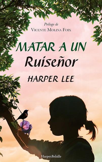 MATAR A UN RUISEÑOR | 9788417216948 | LEE, HARPER | Llibreria Online de Tremp