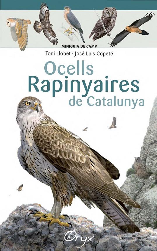 OCELLS RAPINYAIRES DE CATALUNYA | 9788490346785 | LLOBET FRANÇOIS, TONI/COPETE, JOSÉ LUIS | Llibreria Online de Tremp