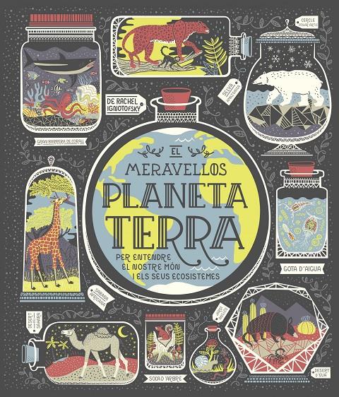 EL MERAVELLÓS PLANETA TERRA | 9788491378778 | IGNOTOFSKY, RACHEL | Llibreria Online de Tremp