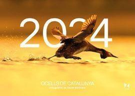 CALENDARI OCELLS DE CATALUNYA 2024 | 9781901175059 | Llibreria Online de Tremp