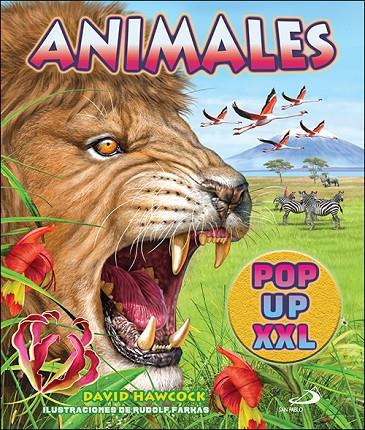 ANIMALES POP UP XXL | 9788428568791 | HAWCOCK, DAVID | Llibreria Online de Tremp