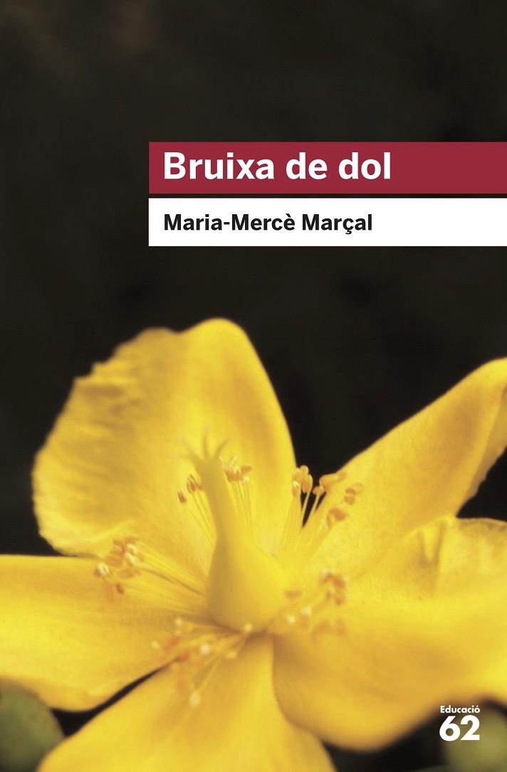 BRUIXA DE DOL (1977-1979) | 9788415954736 | MARÇAL SERRA, M. MERCÈ | Llibreria Online de Tremp