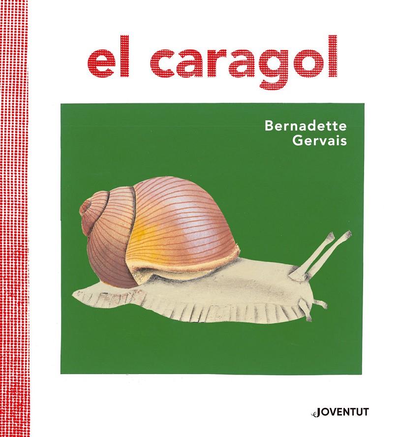 EL CARAGOL | 9788426145680 | GERVAIS, BERNADETTE | Llibreria Online de Tremp