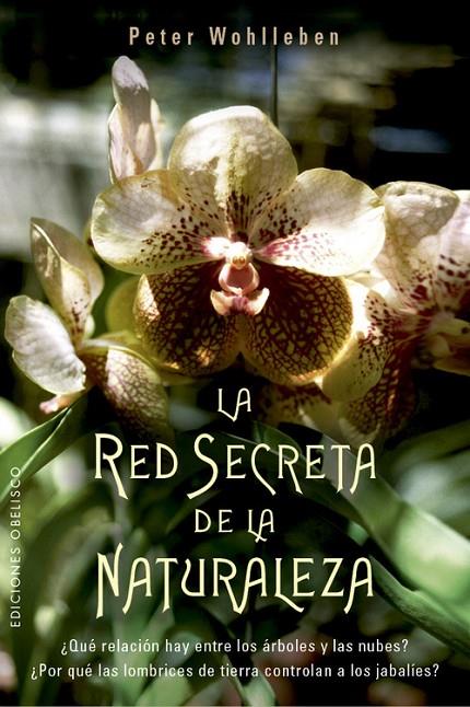 LA RED SECRETA DE LA NATURALEZA | 9788491114192 | WOHLLEBEN, PETER  | Llibreria Online de Tremp