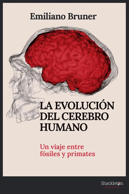 LA EVOLUCIÓN DEL CEREBRO HUMANO | 9788413612249 | BRUNER, EMILIANO | Llibreria Online de Tremp