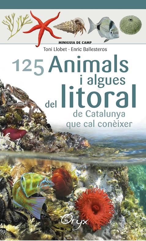 125 ANIMALS I ALGUES DEL LITORAL DE CATALUNYA | 9788490347416 | BALLESTEROS SAGARRA, ENRIC | Llibreria Online de Tremp