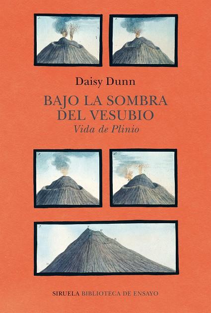 BAJO LA SOMBRA DEL VESUBIO | 9788418708459 | DUNN, DAISY | Llibreria Online de Tremp
