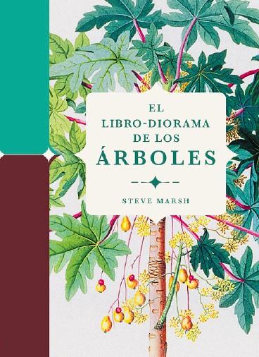 EL LIBRO-DIORAMA DE LOS ÁRBOLES | 9788412386196 | MARSH, STEVE | Llibreria Online de Tremp