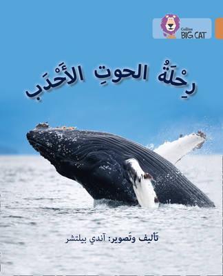 BC 12 - JOURNEY OF HUMPBACK WHALES (ARABIC | 9780008156640