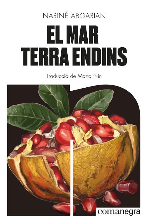 EL MAR TERRA ENDINS | 9788419590343 | ABGARIAN, NARINÉ | Llibreria Online de Tremp