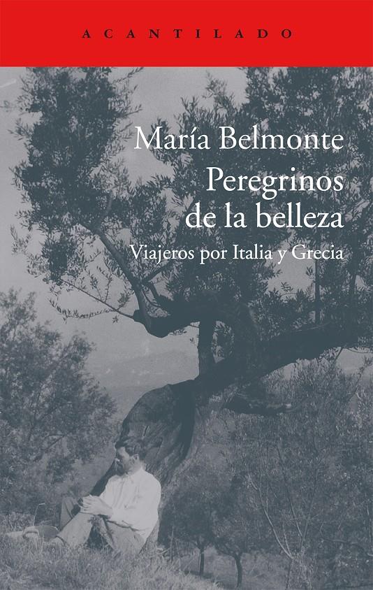 PEREGRINOS DE LA BELLEZA | 9788416011513 | BELMONTE BARRENECHEA, MARÍA | Llibreria Online de Tremp