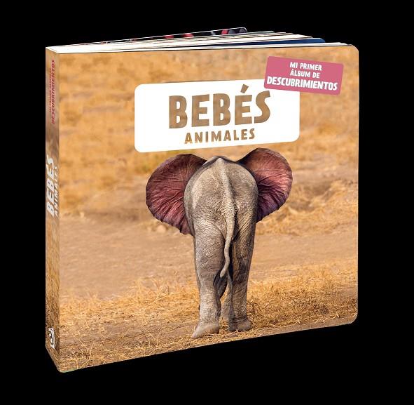 BEBÉS ANIMALES | 9788418762116 | NATURAGENCY | Llibreria Online de Tremp