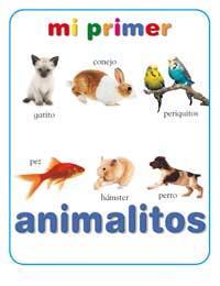MI PRIMER LIBRO DE ANIMALITOS | 9788427293083 | Llibreria Online de Tremp