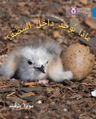 BC 4 - WHAT'S IN THE EGG? (ARABIC) | 9780008185565
