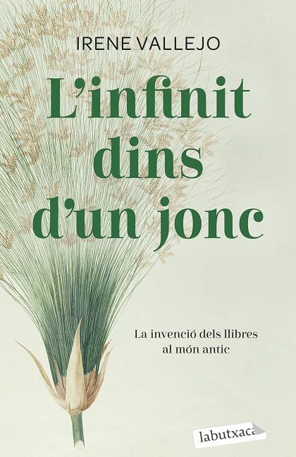 L'INFINIT DINS D'UN JONC | 9788419107121 | VALLEJO, IRENE | Llibreria Online de Tremp