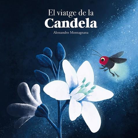 EL VIATGE DE LA CANDELA | 9788410074415 | ALESSANDRO MONTAGNANA | Llibreria Online de Tremp
