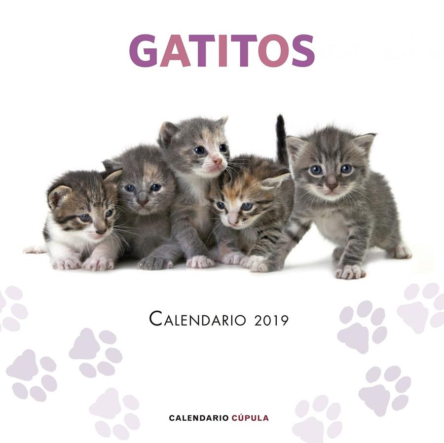 CALENDARIO GATITOS 2019 | 9788448024659 | AA. VV.