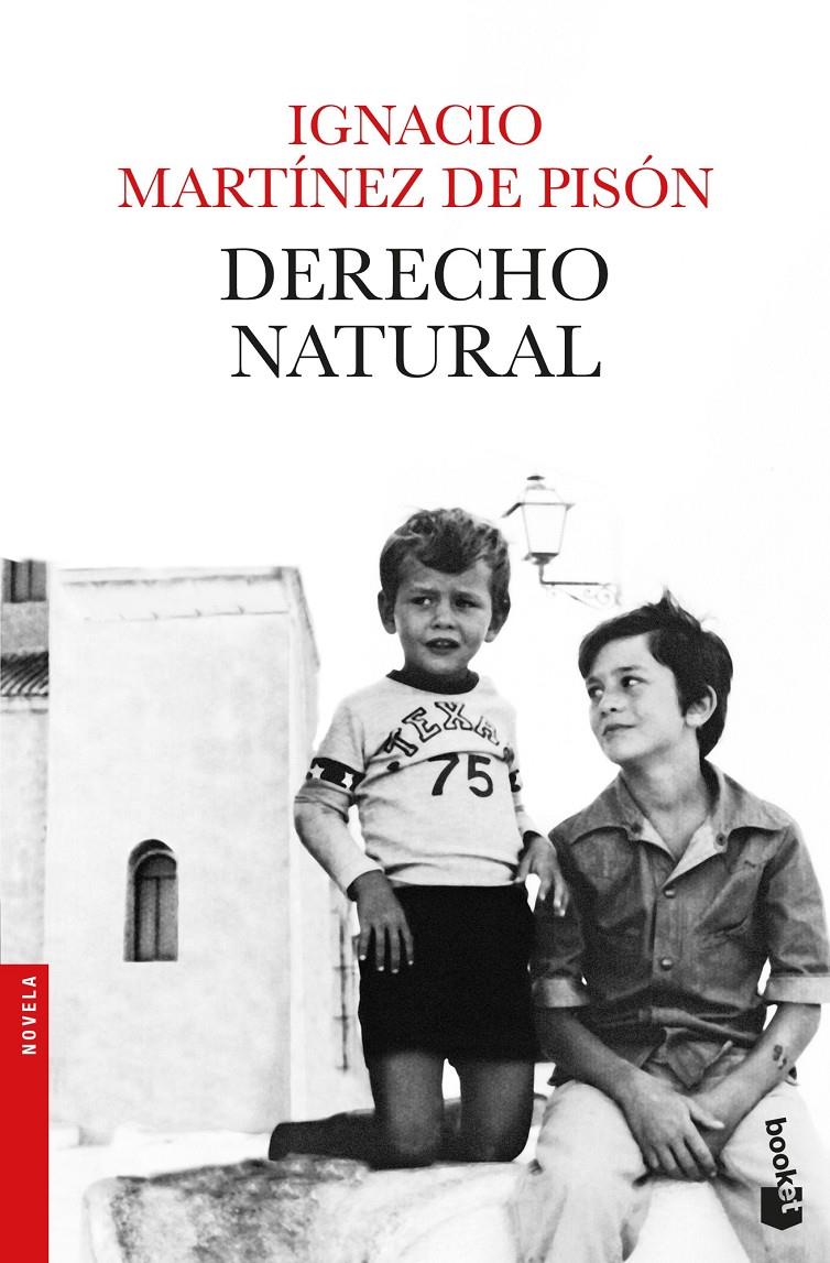 DERECHO NATURAL | 9788432234279 | MARTÍNEZ DE PISÓN, IGNACIO | Llibreria Online de Tremp