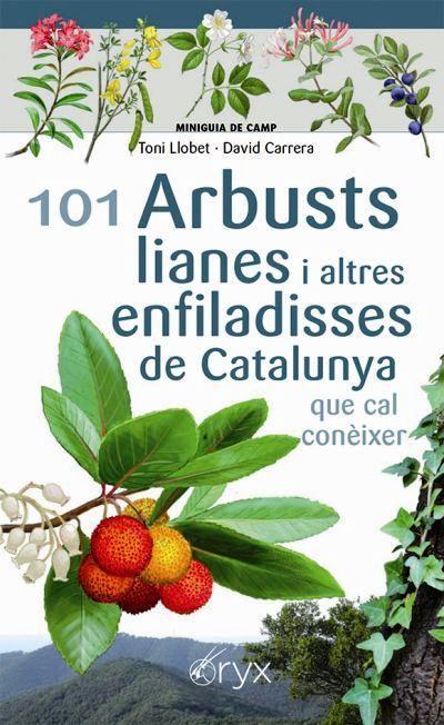 101 ARBUSTS, LIANES I ALTRES ENFILADISSES DE CATALUNYA | 9788413560397 | LLOBET FRANÇOIS, TONI/CARRERA BONET, DAVID