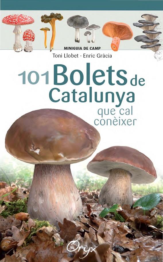 101 BOLETS DE CATALUNYA | 9788490347096 | LLOBET FRANÇOIS, TONI/GRÀCIA, ENRIC | Llibreria Online de Tremp