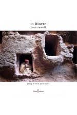 IN ITINERE | 9788412163384 | RAMELL, JOAN | Llibreria Online de Tremp