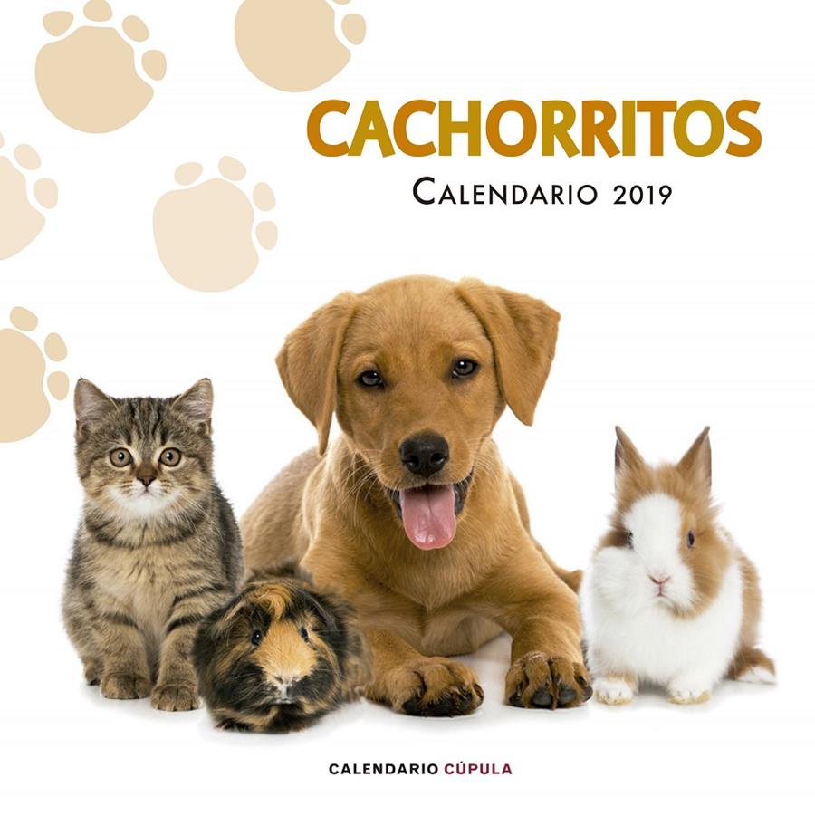 CALENDARIO CACHORRITOS 2019 | 9788448024673 | AA. VV. | Llibreria Online de Tremp