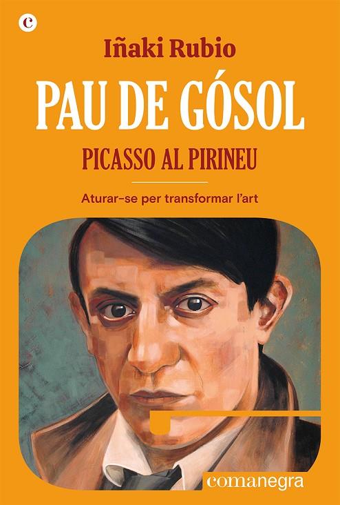PAU DE GÓSOL. PICASSO AL PIRINEU | 9788419590404 | RUBIO, IÑAKI | Llibreria Online de Tremp