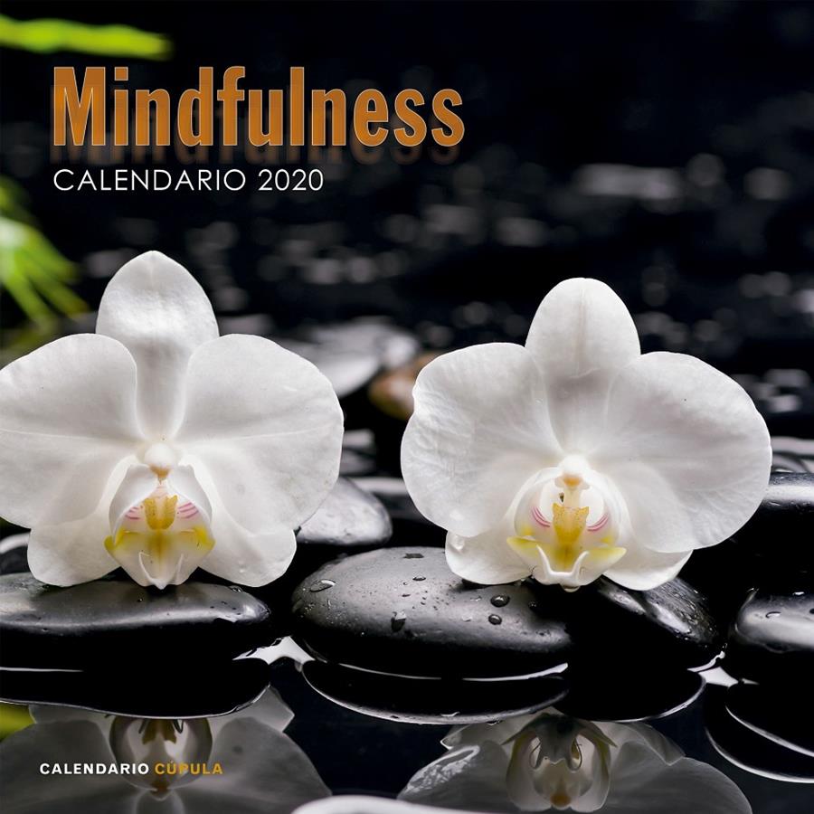 CALENDARIO MINDFULNESS 2020 | 9788448026110 | AA. VV. | Llibreria Online de Tremp