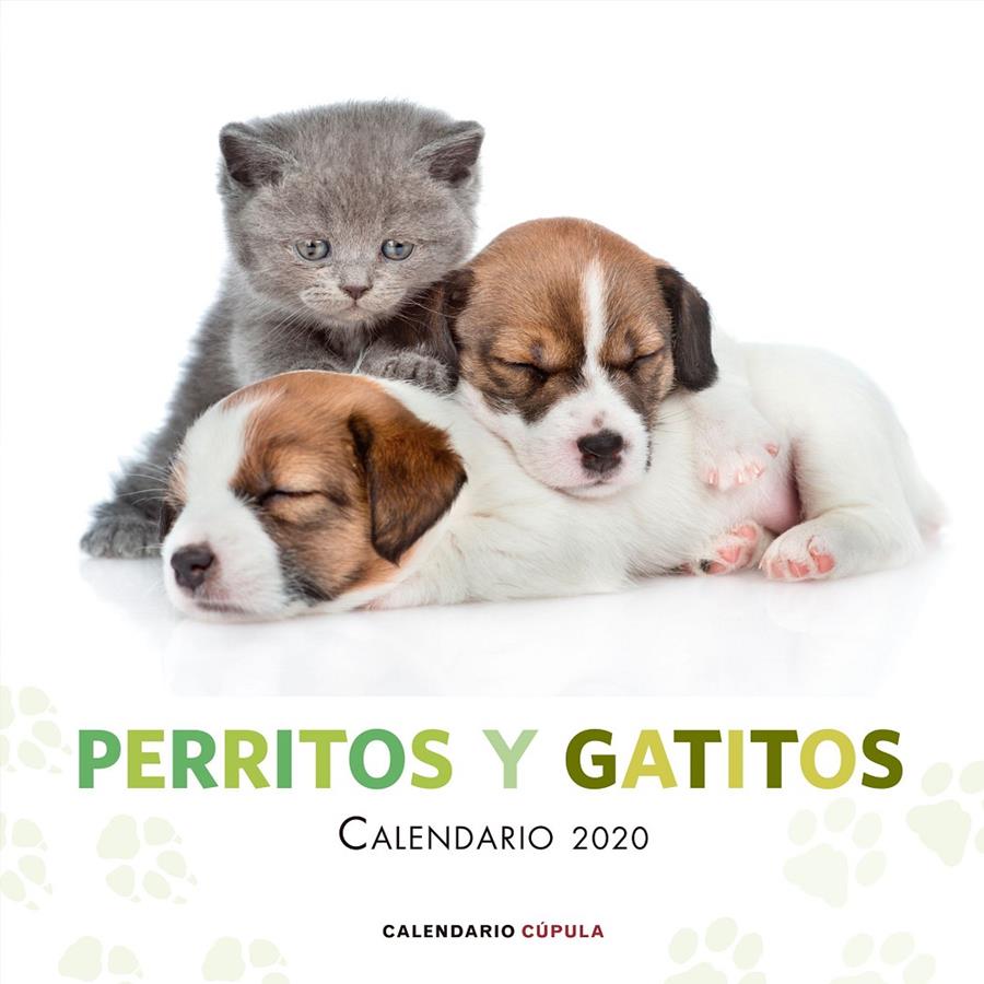 CALENDARIO PERRITOS Y GATITOS 2020 | 9788448026172 | AA. VV. | Llibreria Online de Tremp