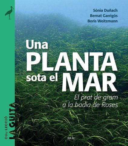 UNA PLANTA SOTA EL MAR | 9788418096747 | DUÑACH, SÒNIA/GARRIGÓS, BERNAT/WEITZMANN, BORIS | Llibreria Online de Tremp
