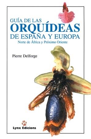 GUIA DE LAS ORQUIDEAS DE ESPAÑA Y EUROPA NORTE DE AFRICA Y P | 9788487334382 | DELFORGE, PIERRE | Llibreria Online de Tremp