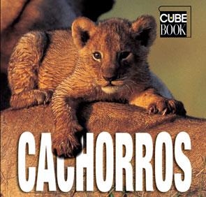 CACHORROS | 9788489978805 | ANÓNIMO