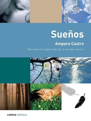 SUEÑOS : DESCUBRE EL SIGNIFICADO DEL MUNDO ONIRICO | 9788448047245 | CASTRO, AMPARO | Llibreria Online de Tremp