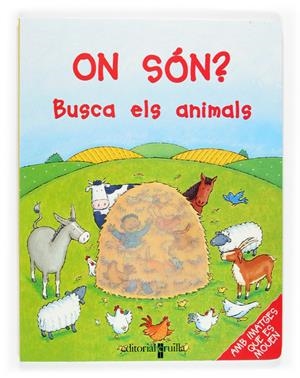ON SON? BUSCA ELS ANIMALS | 9788466109611 | STOCKHAM, JESS | Llibreria Online de Tremp