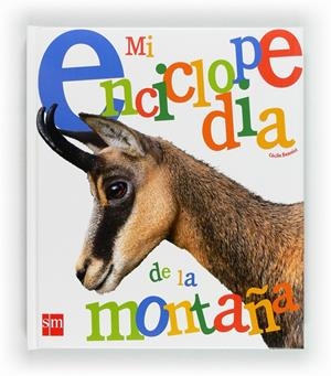 MI ENCICLOPEDIA DE LA MONTAÑA | 9788467552324