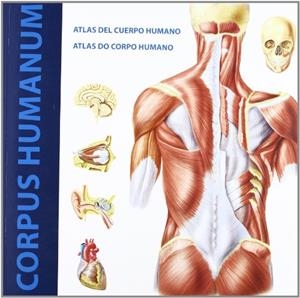 ATLAS DEL CUERPO HUMANO | 9788496449763 | SCHLEIFER, SIMONE | Llibreria Online de Tremp