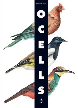 OCELLS | 9788466126243
