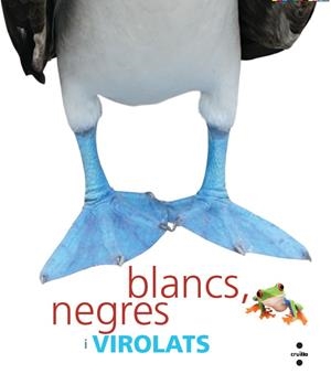 BLANCS NEGRES I VIROLATS | 9788466127288