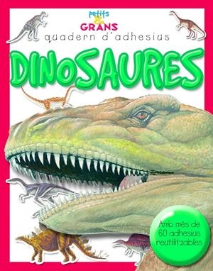DINOSAURES (QUADERN D'ADHESIUS) | 9788498255270