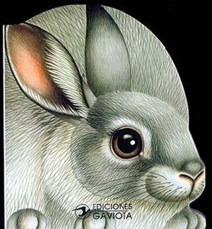 UN CONEJO EN EL PRADO | 9788439288183 | Llibreria Online de Tremp