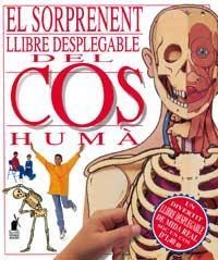 SORPRENENT LLIBRE DESPLEGABLE DEL COS HUMA, EL | 9788427241510 | HAWCOCK, DAVID | Llibreria Online de Tremp
