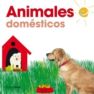 ANIMALES DOMESTICOS | 9788448014834 | AA. VV. | Llibreria Online de Tremp