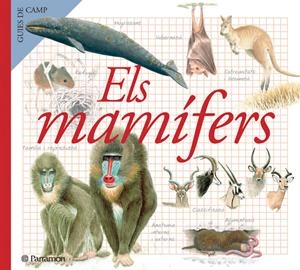 MAMIFERS, ELS (GUIES DE CAMP) | 9788434228368 | AAVV