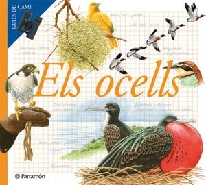 OCELLS, ELS | 9788434228283 | JULIVERT ZAMARREÑO, ÀNGELS